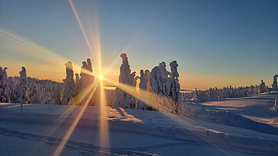 Silvester in Lappland