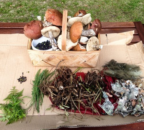 Gesammelte Dinge aus dem Wald