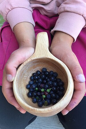 Beeren sammeln Lappland Outdoor Küche