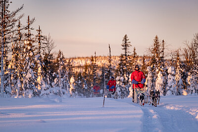 Husky Halbtagestour