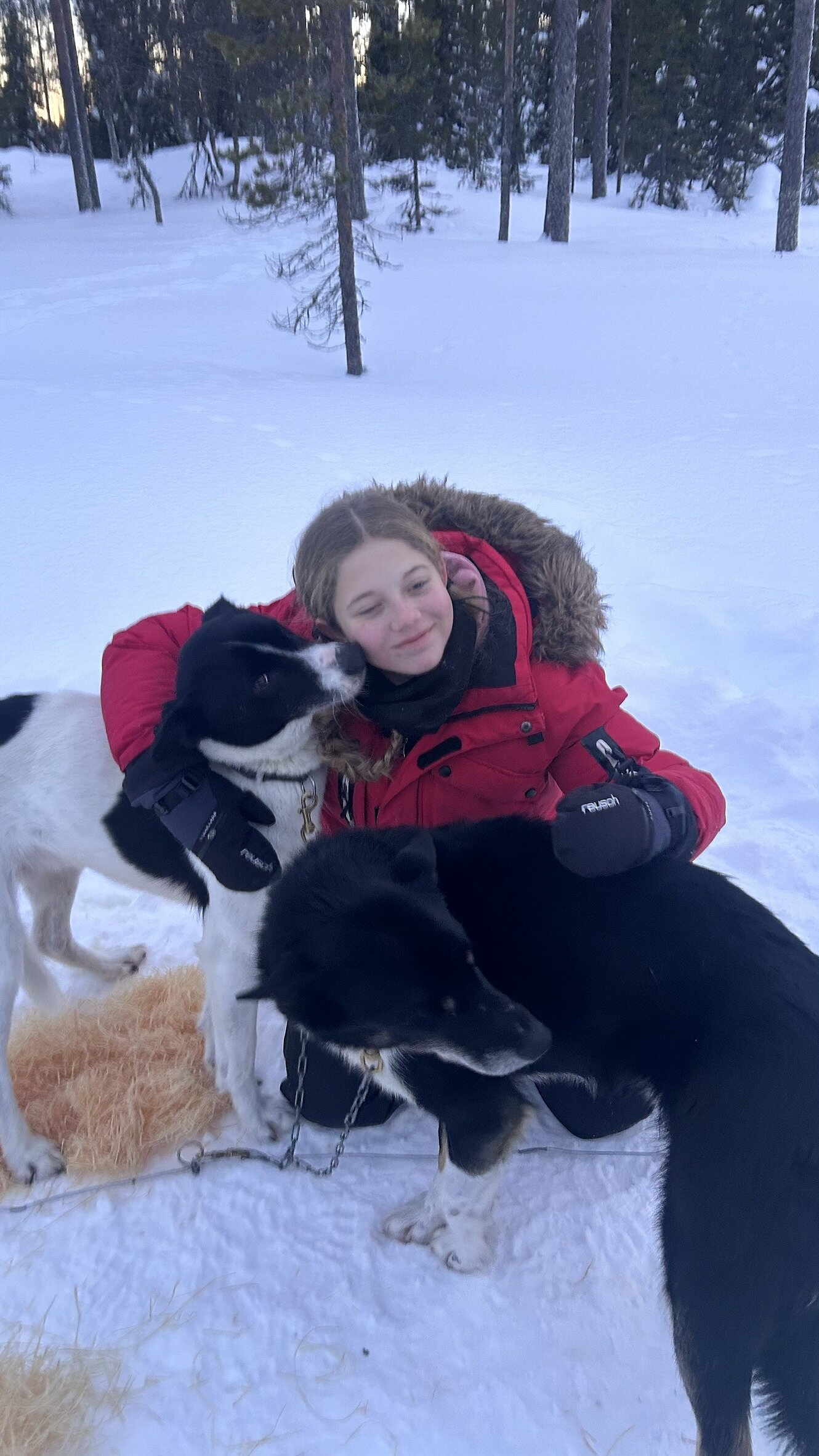 Kind mit Husky auf Huskyfarm Lappland