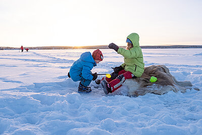 Husky Tour Familie