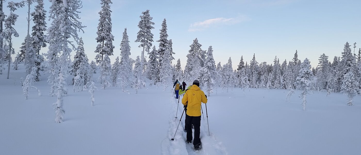Schneeschuhwanderung durch verschneite Landschaft in Lappland