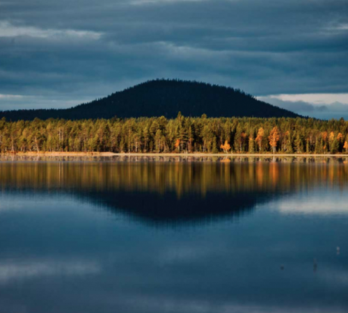Spiegelung im See