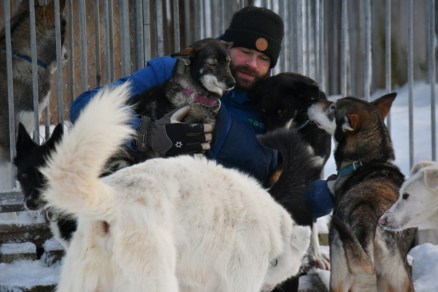 Musher sitzt mit Huskys im Schnee und zeigt enge Bindung zu den Hunden