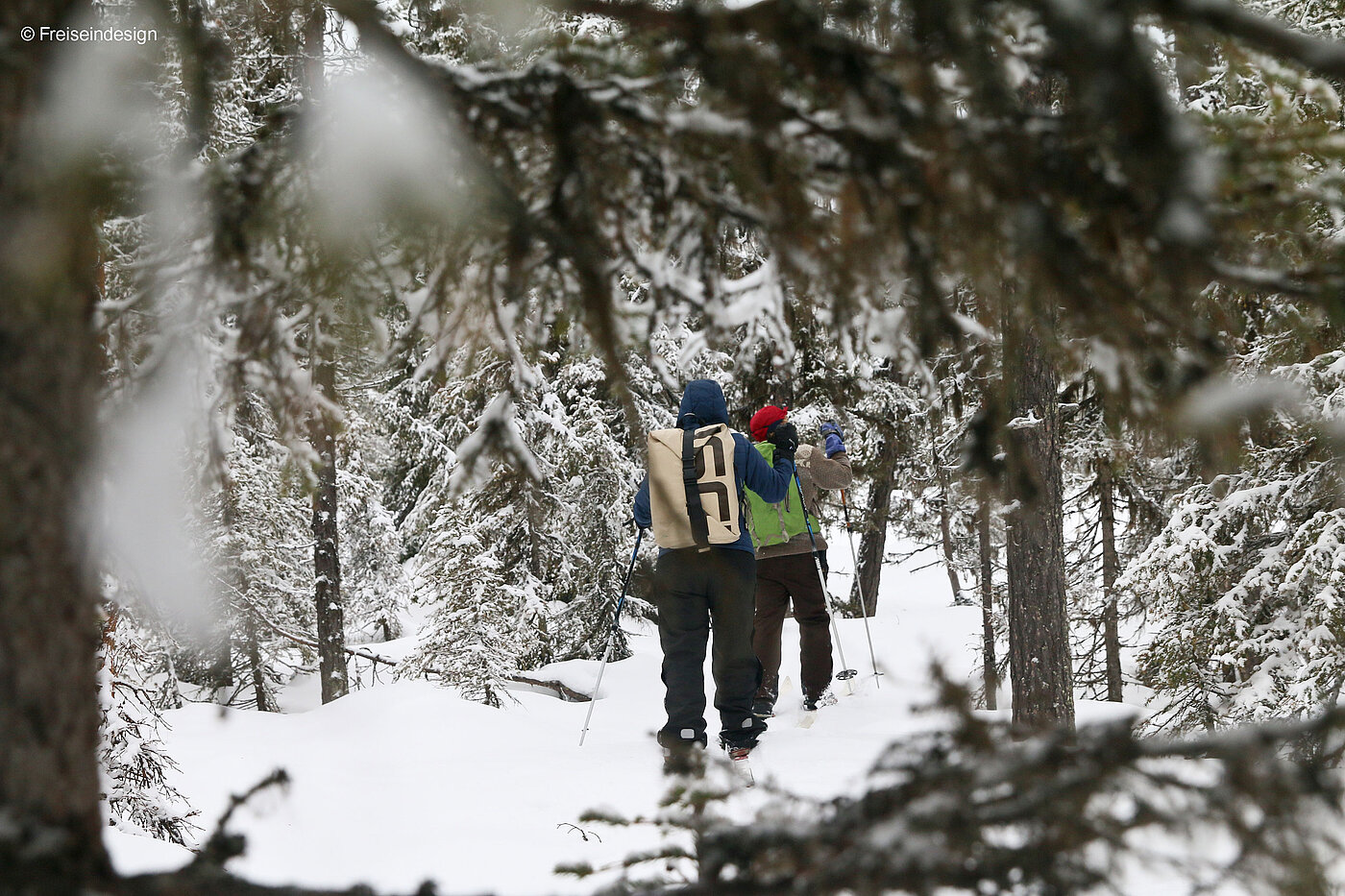 Skiwandern in Lappland