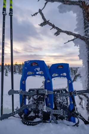 Schneeschuhe im Schnee Lappland Tagestour