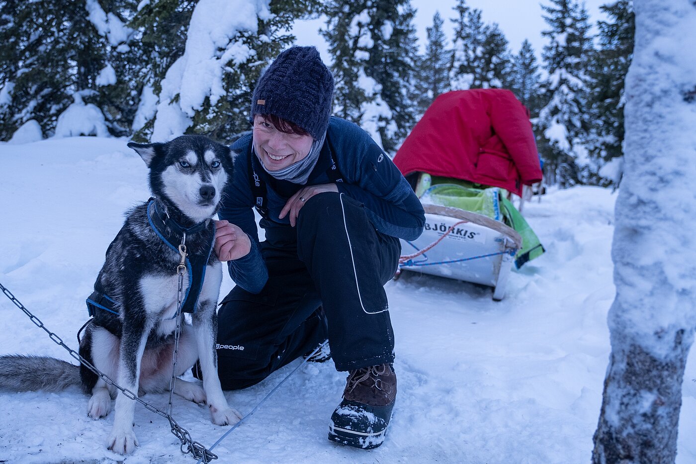 Gast sitzt mit Husky im Schnee während Huskytour in Lappland