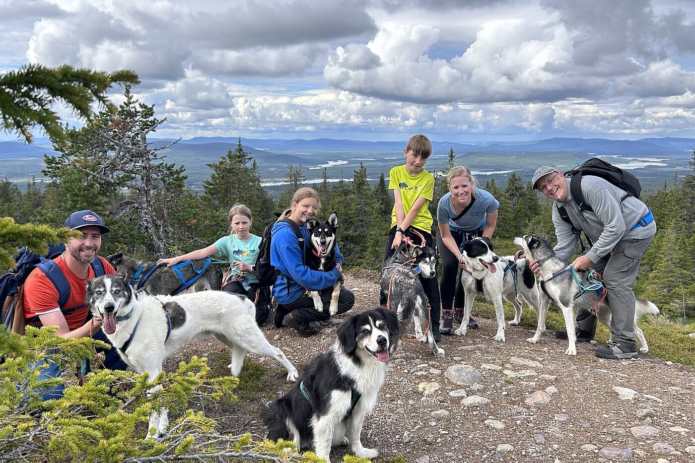 Gruppe mit Huskys auf Wanderung im Sommer in Lappland