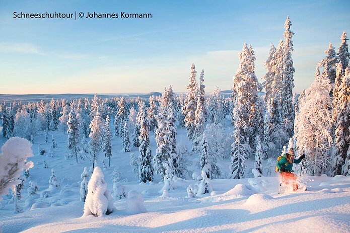 Schneeschuhwanderer im Schneehang
