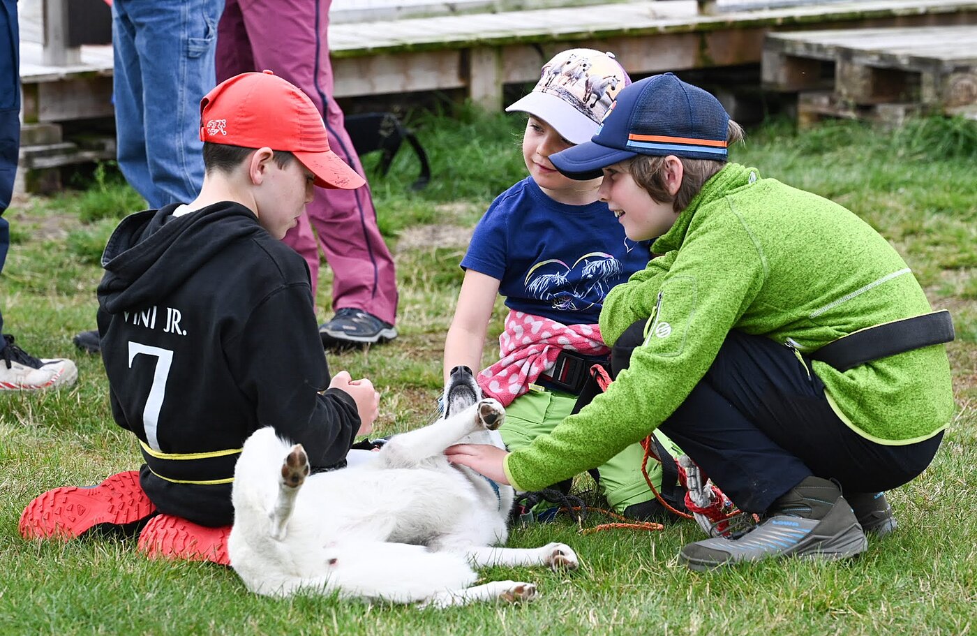 Kinder Huskys Lappland