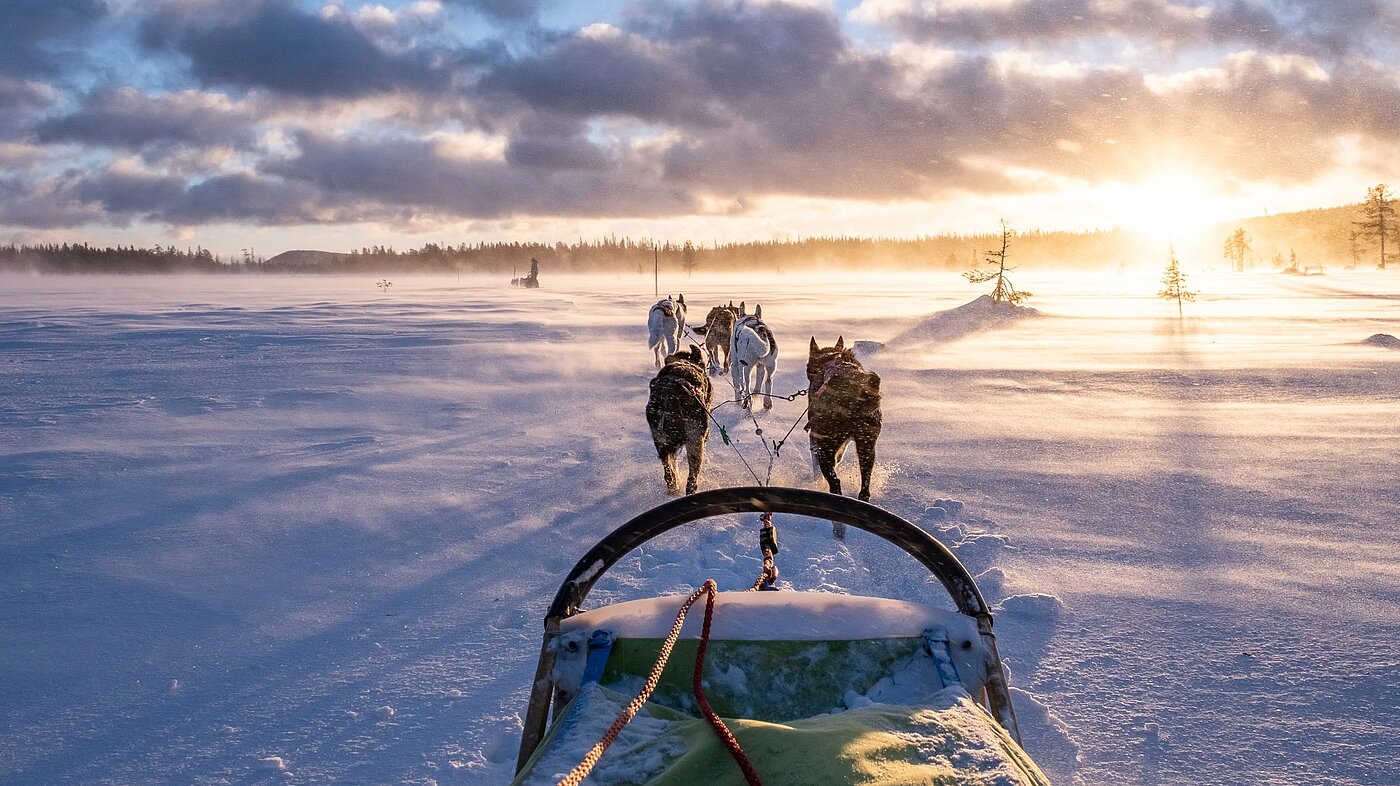 Huskygespann zieht Schlitten über gefrorenen See in Lappland
