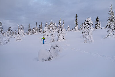 Lappland Abenteuerwoche