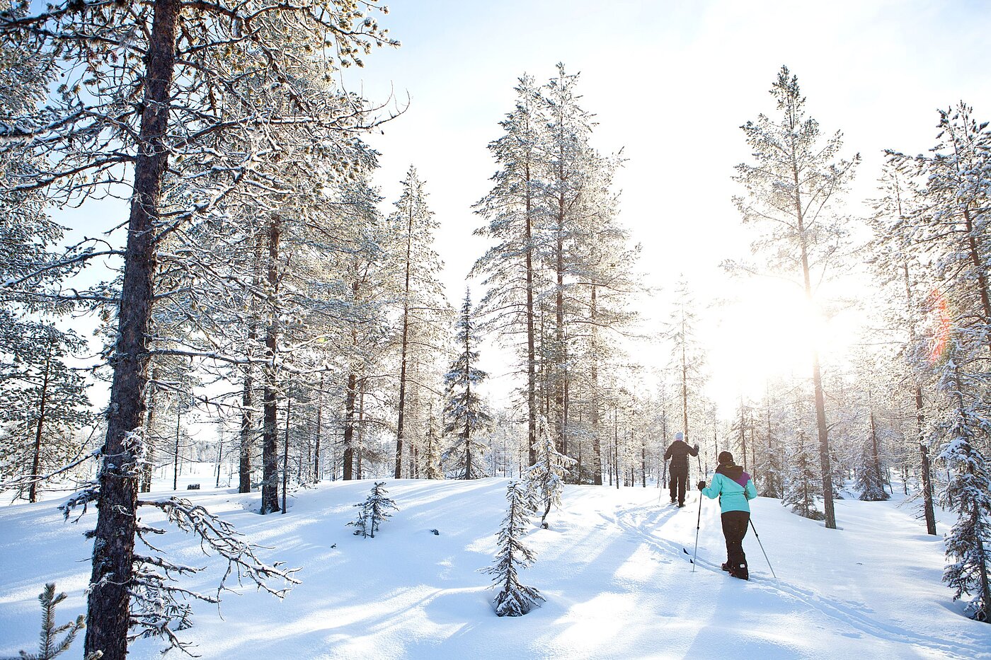 Skifahrer im Wald