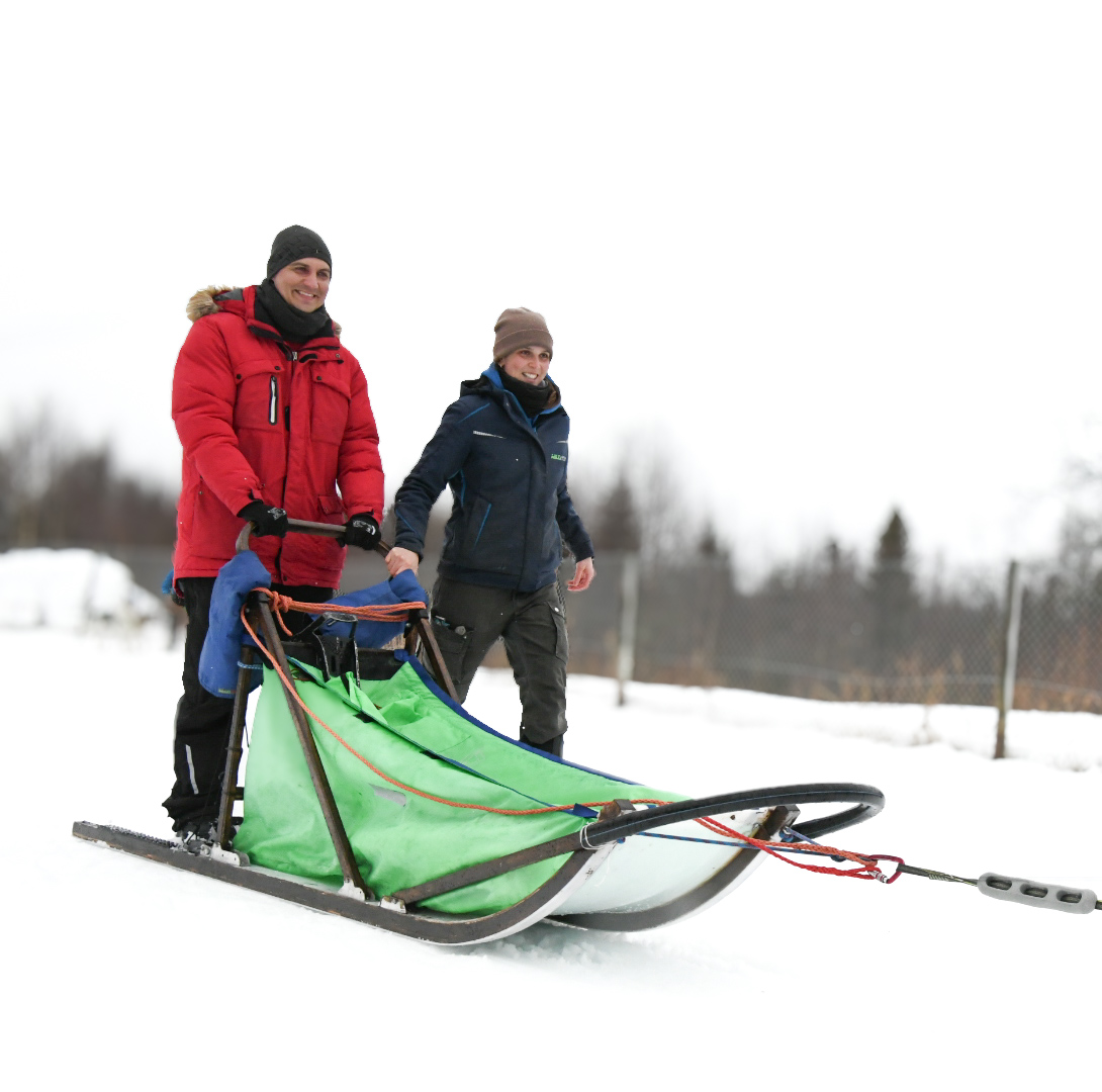 Einführung Hundeschlittenfahren Lappland