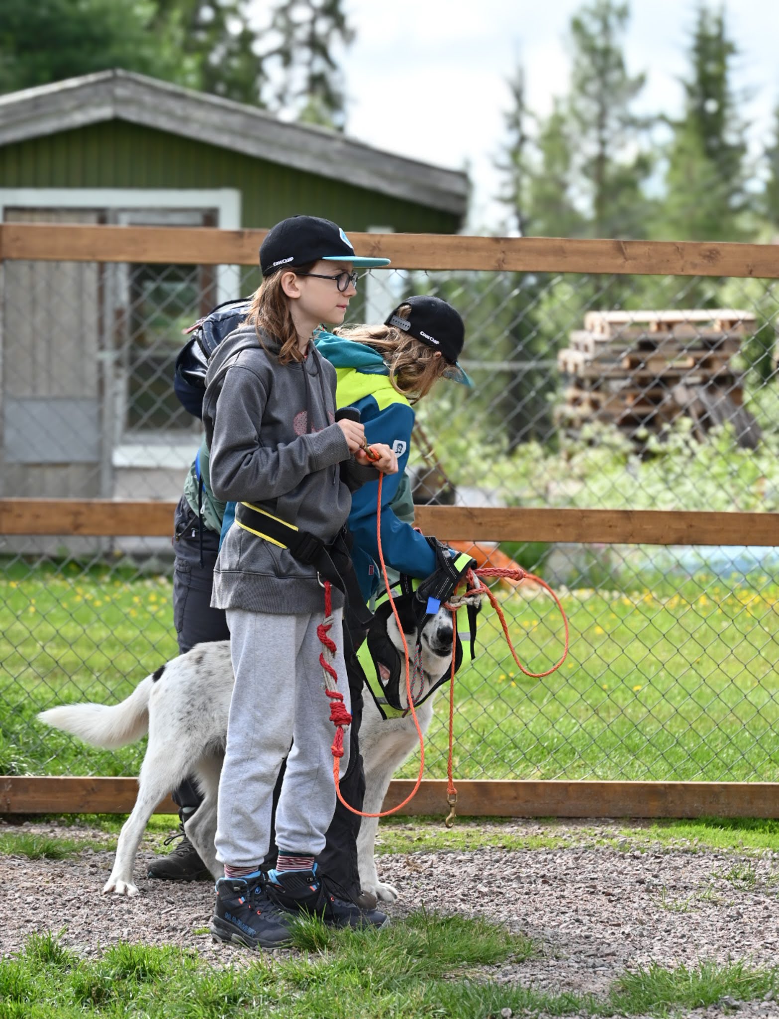 Husky Trekking Familie Kind Hund Lappland