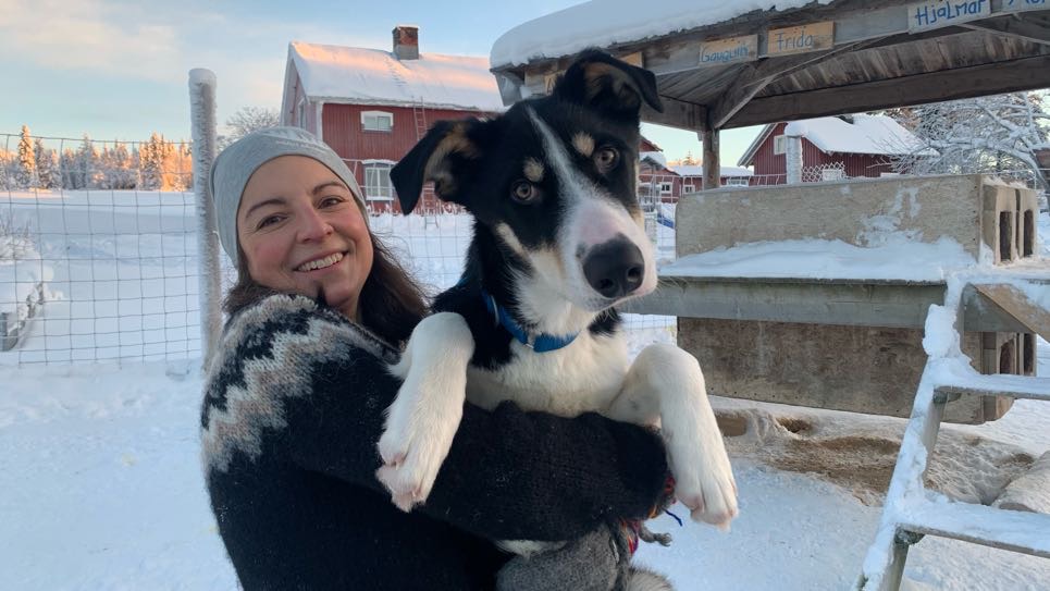 Gemeinschaft erleben – Huskyfarm Lappland