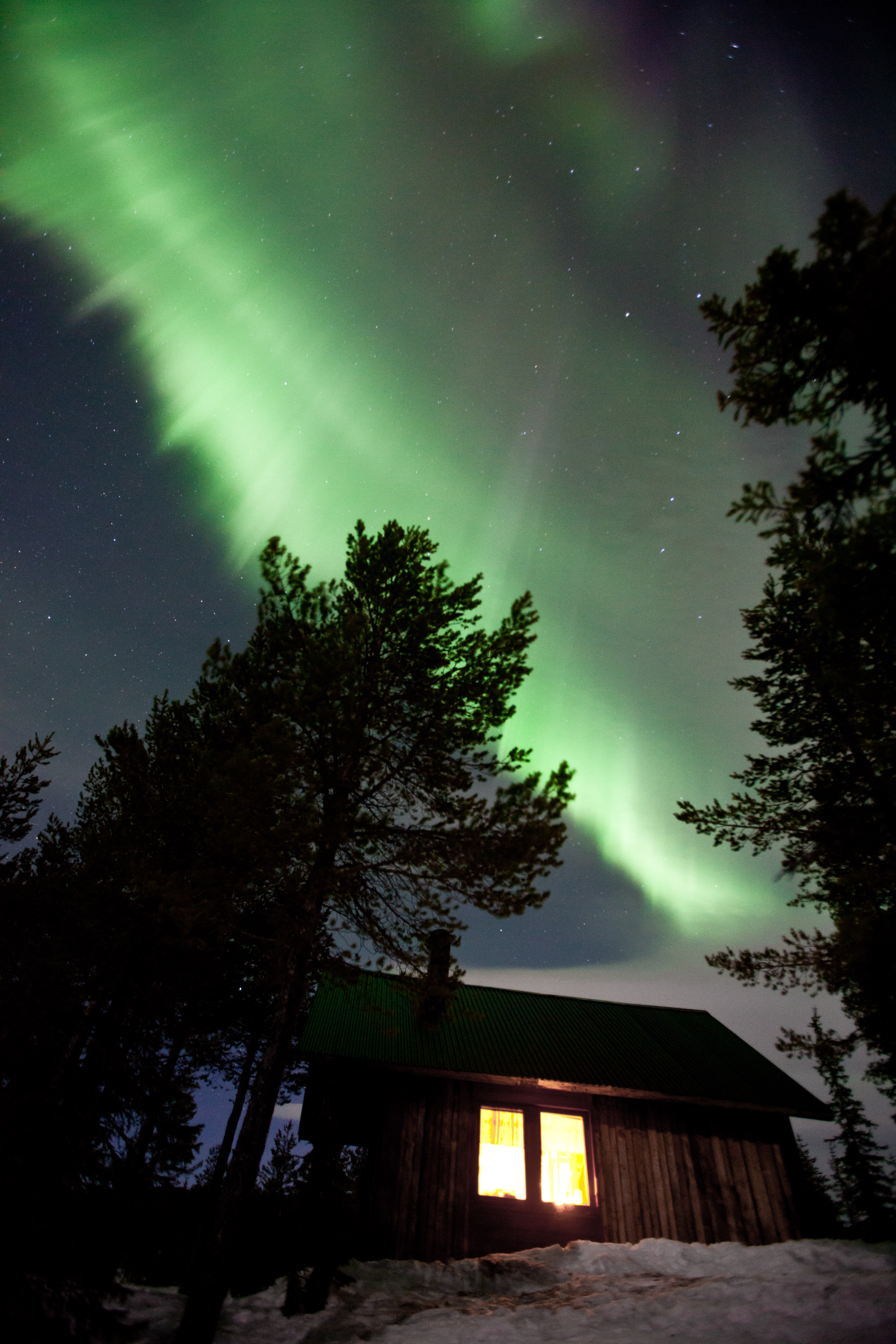 Nordlichter über verschneitem Wald in Lappland