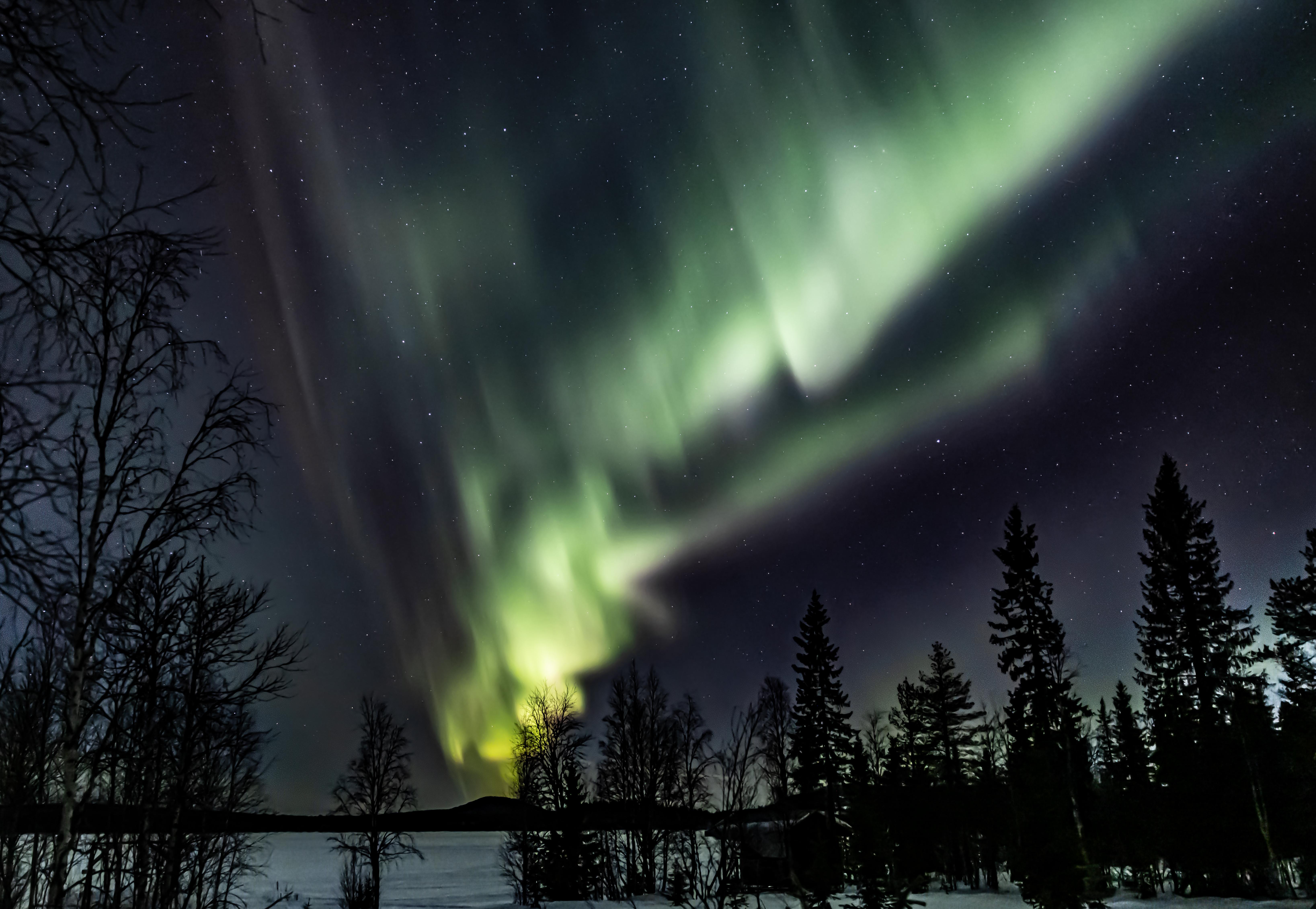 Nordlichter über Lappland während Silvesterreise mit Huskys